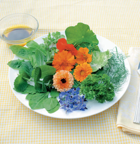 Herbal Salad for Osteoporosis